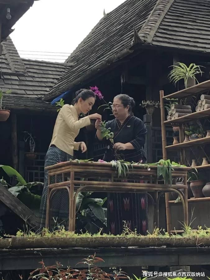 杨紫、范丞丞新剧定档,女主被吐槽脸肿