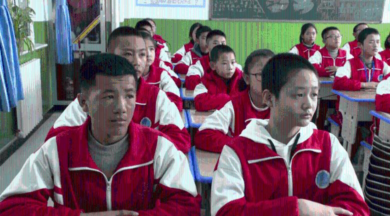 逗小猴开心系列214